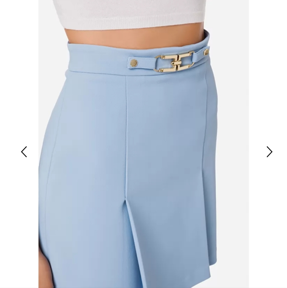 Elisabetta Franchi Mini Skirt